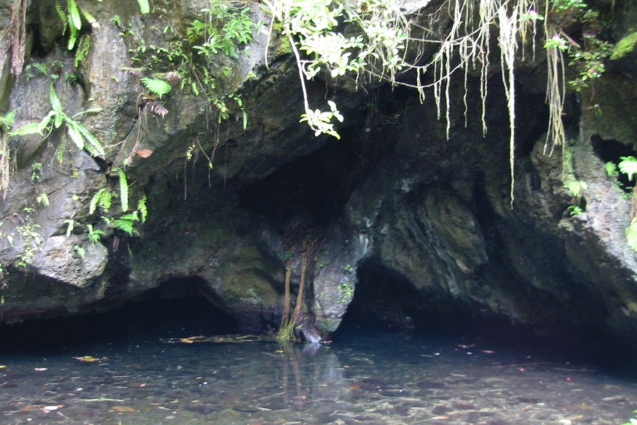 ../image/freshwater cave at waianapanapa.jpg